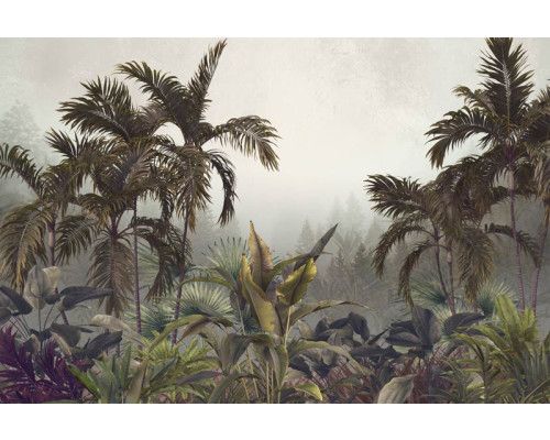 Tropische planten en bloemen, gehuld in nevel, afgebeeld op een fotobehang van een weelderige jungle.