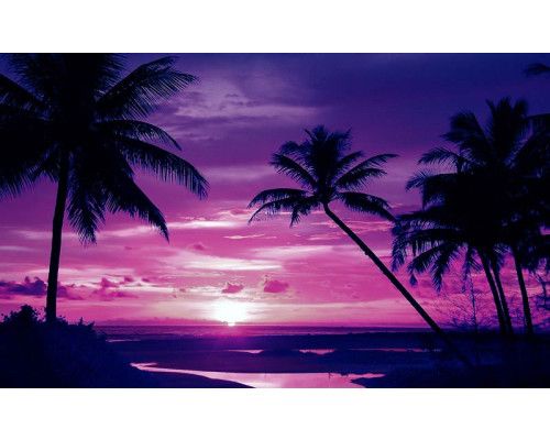 Tropische zonsondergang met palmbomen aan de kustlijn, met warme oranje en roze tinten in de lucht en de reflectie in het water.