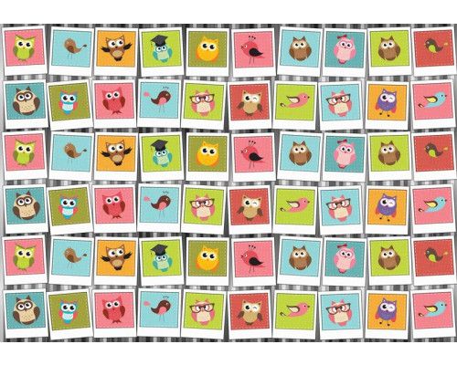 Fotobehang met een collage van uilen en vogeltjes, speciaal voor kinderkamers.