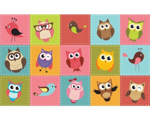 Uilen en vogeltjes, vrolijk fotobehang voor kinderkamers met een speelse weergave van dieren.