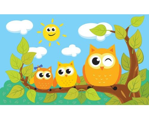 Fotobehang van uiltjes en uilen, schattig en kleurrijk.