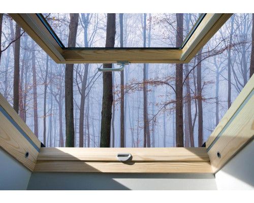 Fotobehang met een raamuitzicht op bomen in een bos, natuurlijk verlichte omgeving.