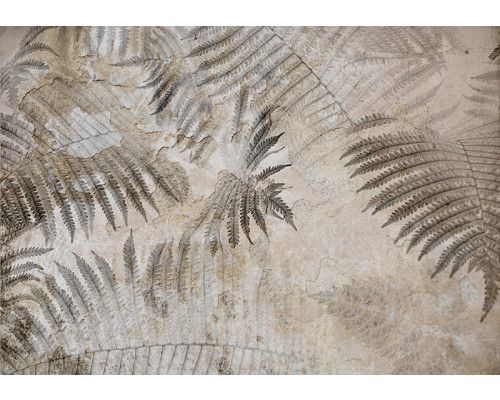 Fotobehang, Varenblad palm beton 3D