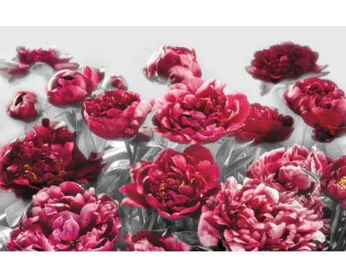 Verleiding met rozen, een romantisch fotobehang met weelderige bloemen, perfect voor een luxe sfeer.