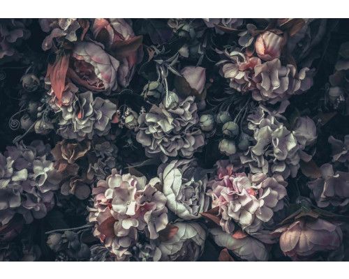 Vintage bloemen fotobehang voor een klassieke en tijdloze uitstraling.