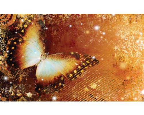 Fotobehang van een abstracte vlinder in een vintage kunststijl, met levendige kleuren en details.