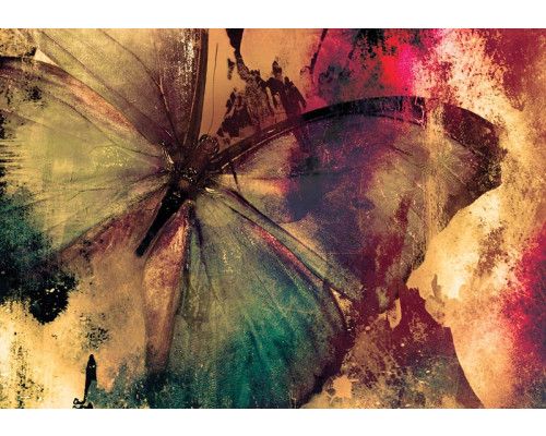 Fotobehang van een vlinder schilderij in kunstzinnige stijl.