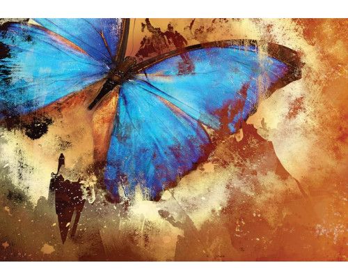 Fotobehang met een vintage vlinder schilderij in een kunstzinnige stijl.