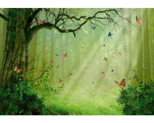 Fotobehang van vlinders in het sprookjesbos, met elfjes in een speelse compositie voor kinderen.