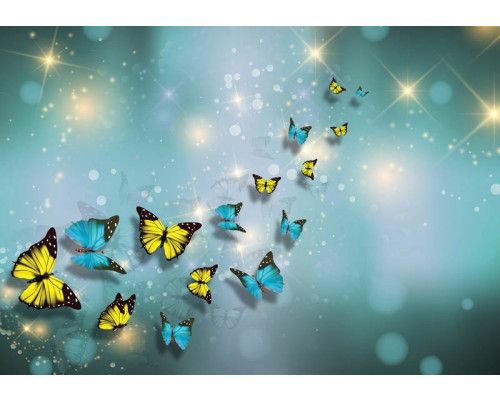 Vlinders, sprankelend weergegeven op een fotobehang met abstracte vormen en kunst.