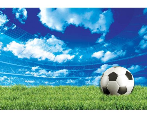 Fotobehang van een voetbalveld in een stadion met een groene grasmat voor kinderen.