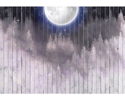 Fotobehang van een volle maan boven een bos met bomen, vastgelegd tegen een houten achtergrond.