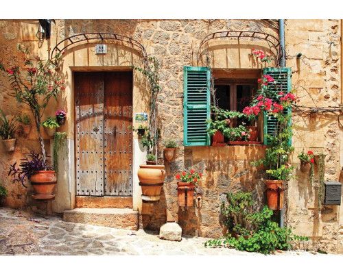 Fotobehang met een stenen muur begroeid met bloemen, voor een rustieke uitstraling.