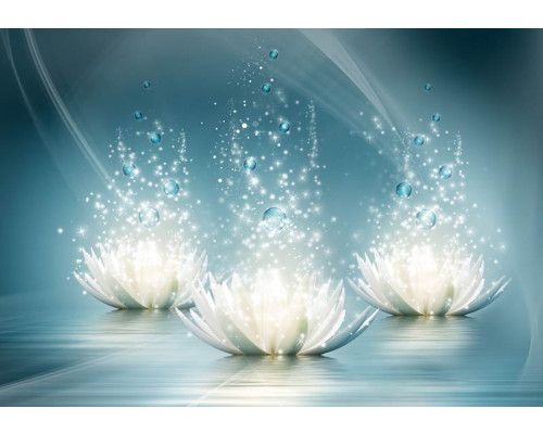 Waterlelies, kunstzinnig weergegeven op een abstract fotobehang met natuur en bloemen.