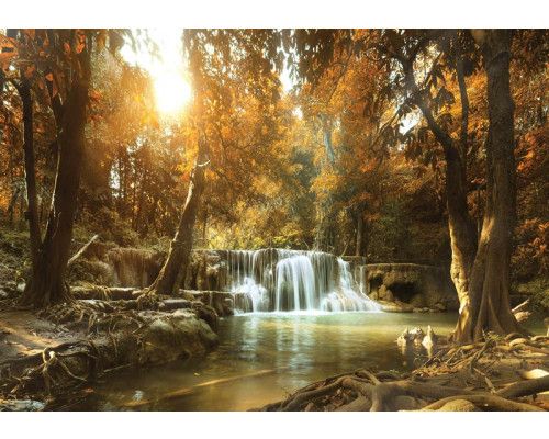 Waterval omringd door herfstbomen met kleurrijke bladeren op fotobehang.