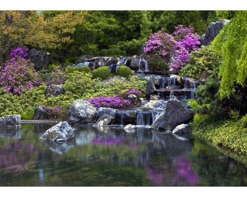 Fotobehang Waterval in Japanse Tuin