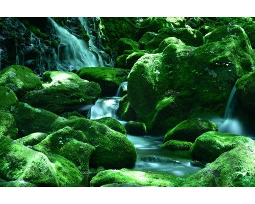 Fotobehang van watervallen die tussen de rotsen doorstromen, met een weelderig groen bos eromheen.