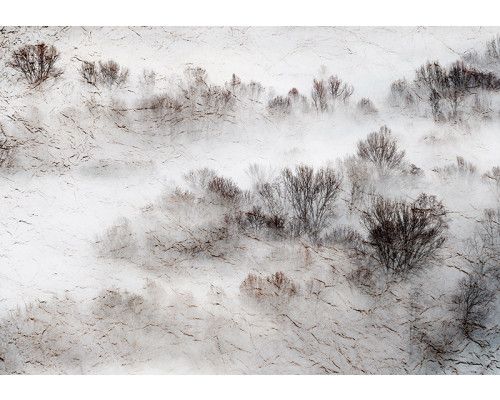 Fotobehang, Weide Mistbomen Natuur