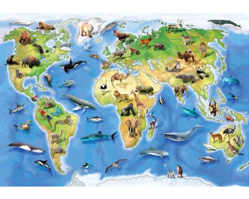 Wereldkaart met dieren, fotobehang voor kinderen met een speelse weergave van dieren uit de dierentuin.