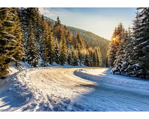 Fotobehang van een winterbos met besneeuwde bomen en een zonsondergang die de lucht in prachtige tinten kleurt.