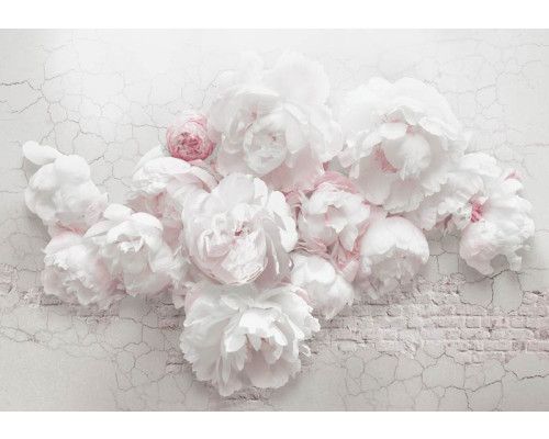 Fotobehang van witte pioenrozen op een bakstenen muur, met een vintage bloemenstijl.