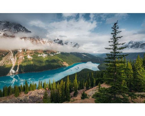 Wonderland Canada met uitzicht op Peyto Lake en de Rocky Mountains.