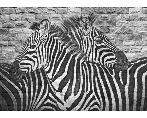 Zebra schildering op een stenen muur, fotobehang dat dieren en kunst samenbrengt.