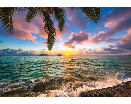 Zonsondergang boven de zee met een palmboom op de voorgrond, fotobehang dat een warme en ontspannen sfeer creëert.