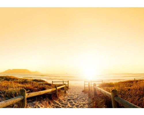 Fotobehang van een zonovergoten pad dat leidt naar een strand, omringd door duinen en natuurlijke vegetatie.
