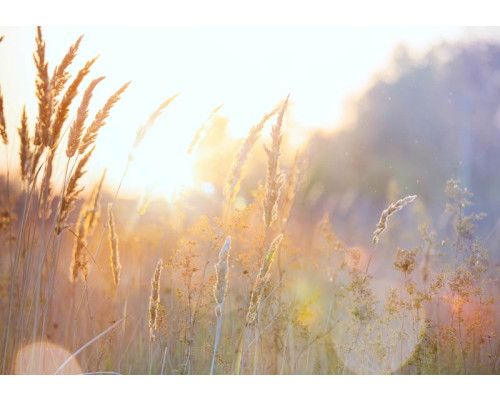 Fotobehang Strand met Duinen en Zee met uitzicht over zand, helmgras en glinsterende golven.