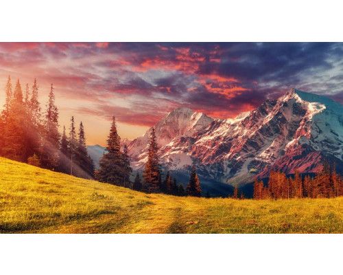 Een zonnige dag in de Alpen, waar bergen en natuur samenkomen op een levendig fotobehang.