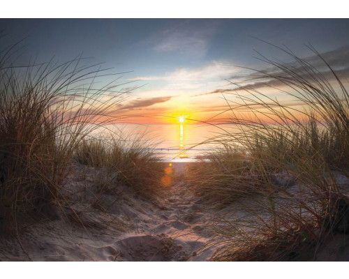 Dit fotobehang toont een adembenemende zonsondergang op het strand, met zicht op zee en duinen in warme tinten.