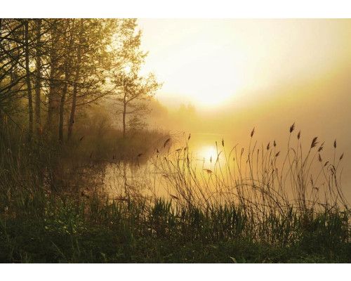 Fotobehang van een zonsondergang boven een mistig meer, met een serene uitstraling.