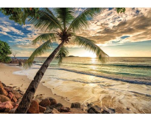 Fotobehang van een zonsondergang aan een tropisch strand met palmbomen en de laatste zonnestralen die de lucht rood en oranje kleuren.