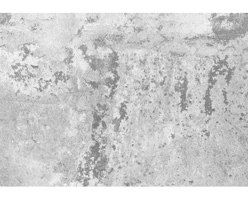 Sprookjesboom fotobehang, betoverend en sprookjesachtig.