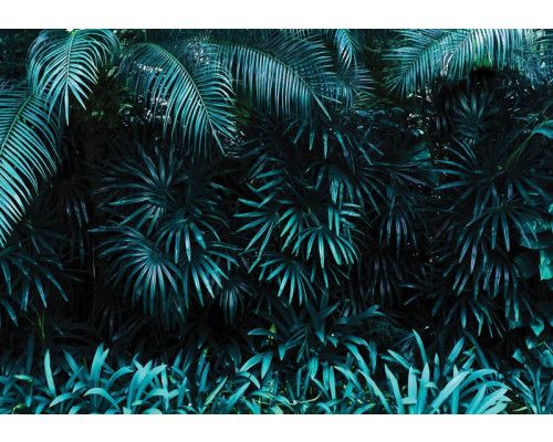 Jungle bladeren fotobehang, perfect voor junglekamers.