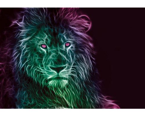 Leeuw behang met abstracte kunst, krachtig en gedetailleerd.