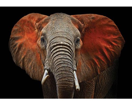 Roest op een betonnen muur met industrieel thema op fotobehang.