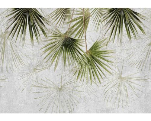 Fotobehang van exotische planten op beton, met een jungle en industriële mix.