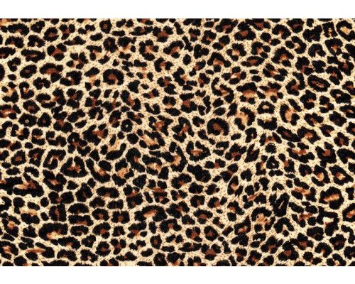 Panterbehang met de vacht van een luipaard, in levensechte details vastgelegd.