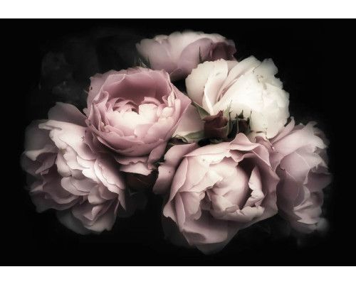 Rozen behang met een boeket van bloemen en pioenrozen, sfeervol en romantisch.