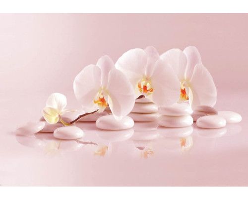 Spa-fotobehang met wellness thema, orchideeën en steentjes.