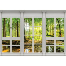 Zonnig bos met bomen en zonnestralen, vastgelegd op 3D-perspectief fotobehang.