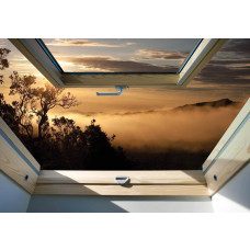3D fotobehang met uitzicht op een mistig bos door een raam, met natuur in de hoofdrol.