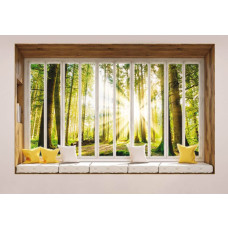 3D-perspectief fotobehang van een zonnig bos, weergegeven vanuit een raam.