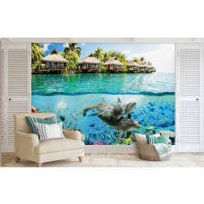 Een fotobehang met dolfijnen in een onderwaterwereld met kleurrijke vissen, passend in een serene slaapkamer.