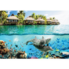Dolfijnen omringd door kleurrijke vissen in de Hawaïaanse onderwaterwereld, subtiel weergegeven op een realistisch fotobehang.