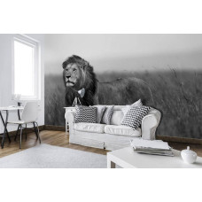 Een fotobehang met een zwart-wit afbeelding van een leeuw, geschikt voor een modern kantoor.