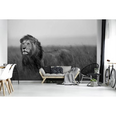 Een fotobehang met een zwart-wit afbeelding van een leeuw, perfect voor een stijlvolle woonkamer.