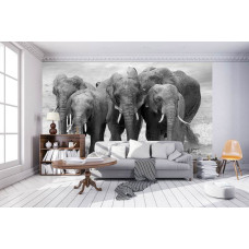 Een fotobehang met een olifantenfamilie in een Afrikaanse savanne in een sfeervolle woonkamer.
